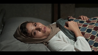 دانلود قسمت آخر 15 سریال قورباغه ❤️ قسمت پایانی