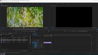 آموزش پریمیر:‌ آشنایی با محیط نرم افزار، باز کردن ویدیوها و کات کردن آنها