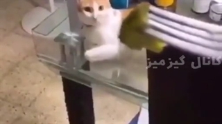 فاطمه خوش برگشتی•-•