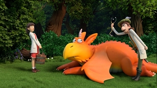 زاگ و پزشکان پرنده