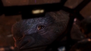 فیلم گودزیلا در برابر کونگ godzilla vs. kong 2021 با زیرنویس چسبیده