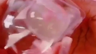 منم از اونا می خوامممم