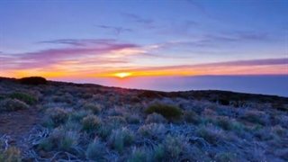 آهنگ غمگین و زیبای « دیدار به قیامت » از نوید هادیان