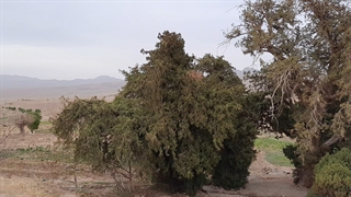 طبیعت روستای فتح آباد .نوروز ۱۴۰۰ پلاستیک لثه