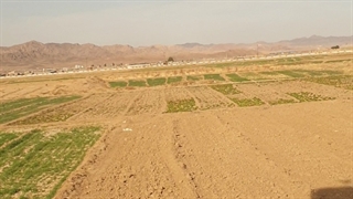 طبیعت بکر قاینات