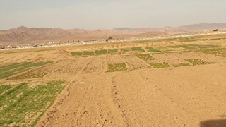 طبیعت بکر قاینات