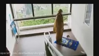 من که حواسم به نماز نیست؛ اصلا چرا نماز بخونم!؟