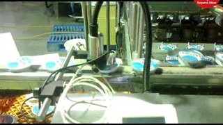 تاریخ زن خطوط لبنیات