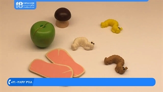 آموزش زبان فارسی به کودکان زیر 7 سال همراه با شکل