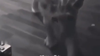 فیلم خنده دار از امیر ستوده