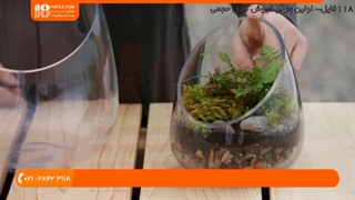 آموزش ساخت انواع تراریوم | د شیشې باغ جوړول - ساخت تراریوم فانتزی