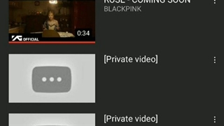 دوتا Privte Video جدید در چنل یوتیوب بلک پینک در پلی لیست ROSÉ دیده می شود