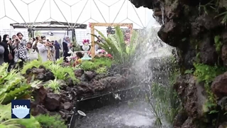 گشتی در باغ گل‌های اصفهان