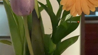 آپدیت استوری اینستاگرام  رزی + کپ