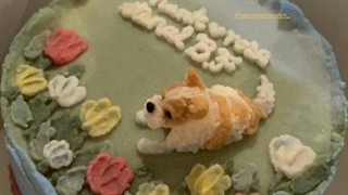 آپدیت استوری اینستاگرام رزی + کپ