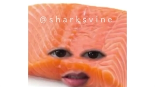 چیزی ندارم بگم