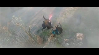 سریال یو ژائو لینگ تیزر قسمت ۷