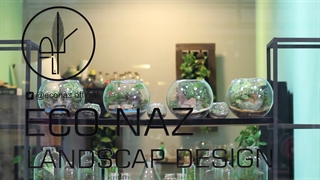 شرکت اکو ناز