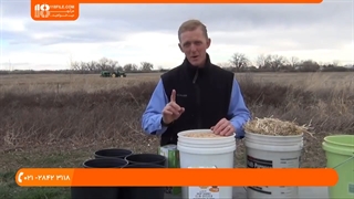 پرورش قارچ - پرورش و رشد قارچ در ظروف پلاستیکی