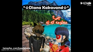 ازدواج لیدی باگ و کت نوار