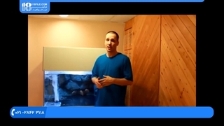 تاثیر لامپ و روشنایی در بیشتر شدن رشد و شادابی گیاهان داخل آکواریوم