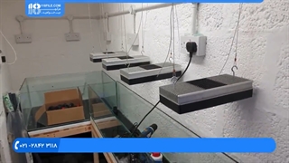 آموزش نصب فیلتر مناسب برای آکواریوم