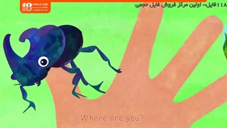 آشنایی با حشرات با شعر