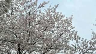 اپدیت استوری اینیستاگرام جیسو