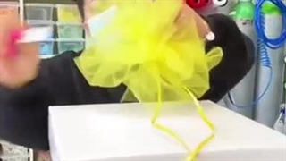 دریاچه چیتگر آموزش بادکنک آرایی ، فروشگاه پارتی سیتی