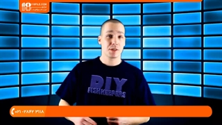 ماهی زینتی - غذادهی به ماهی دیسکس