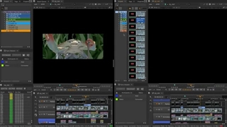 Nuke 13.0 Sync Review