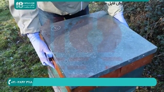 آموزش زنبورداری - جابجا کردن کندوها