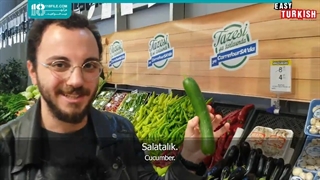 آموزش مکالمات زبان ترکی استانبولی * انواع ضمایر اشاره *