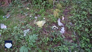 زخم زباله‌های نوروز بر تن جنگل‌های شمال