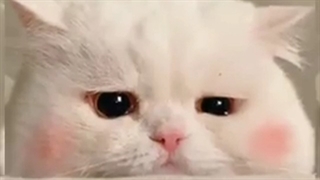 بنظرتون میکسام خوبن