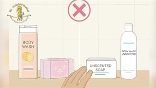 اقدامات لازم پس از رابطه جنسی برای بانوان