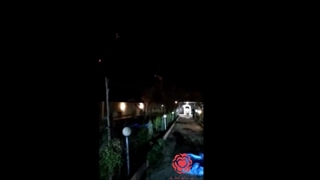 جابجایی درخت توسط شرکت ایران کاملیا