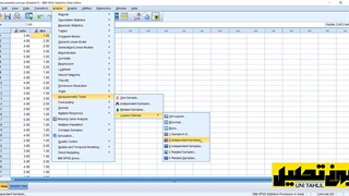 آزمون ویلکاکسون در اس پی اس اس (www.unitahlil.com)