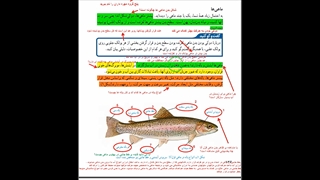 فصل 14 علوم نهم جانوران مهره دار