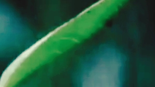 این ویدئو برای تو عه‌! - darcy edits