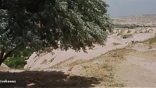 مده‌آ  Medea 1969  زبان اصلی زیرنویس اختصاصی کانال تلگرام  https://t.me/sekoens1