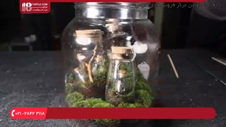 اموزش ساخت تراریوم خزه در 5 مرحله