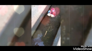 موزیک ویدیوی بهاره ی ال او ال سوپرایز