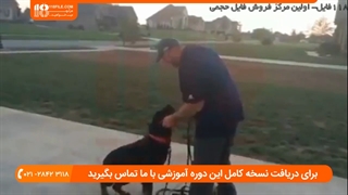 چطور سگ رو در خانه تنها بذاریم بدون اینکه بدرفتاری کنه ؟