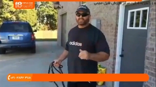 آموزش رفع مشکلات رفتاری در سگ بالغ