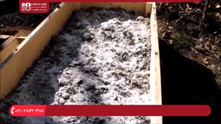 آموزش 7 مرحله ی پرورش قارچ در گلدان