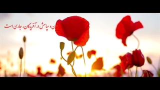 قرائت دعای افتتاح با صدای علی فانی / dua