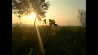 شب جمعه *^*