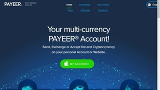 نقد کردن درآمدهای ارزی با حساب پاییر، بهترین کیف پول اینترنتی