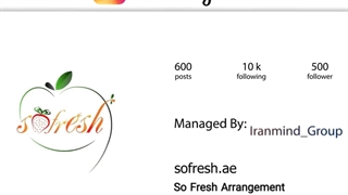 نمونه کار مدیریت اینستاگرام-ایران مایند